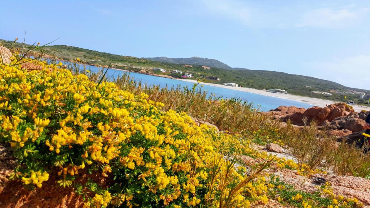 Casa Vacanza Costa Rossa Vista Mare Trinita d'Agultu e Vignola Bagian luar foto
