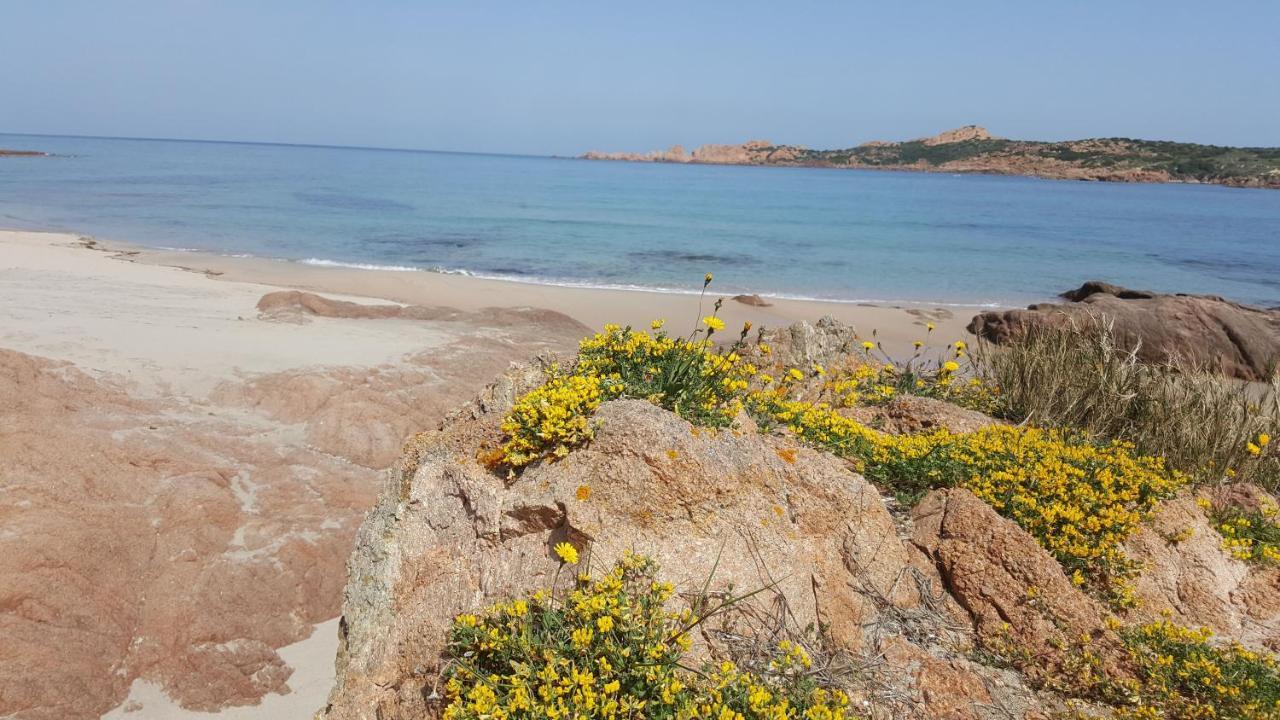 Casa Vacanza Costa Rossa Vista Mare Trinita d'Agultu e Vignola Bagian luar foto